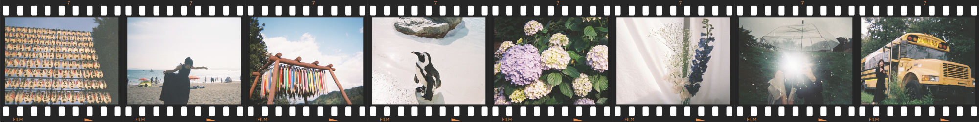 フィルムカメラで撮った写真