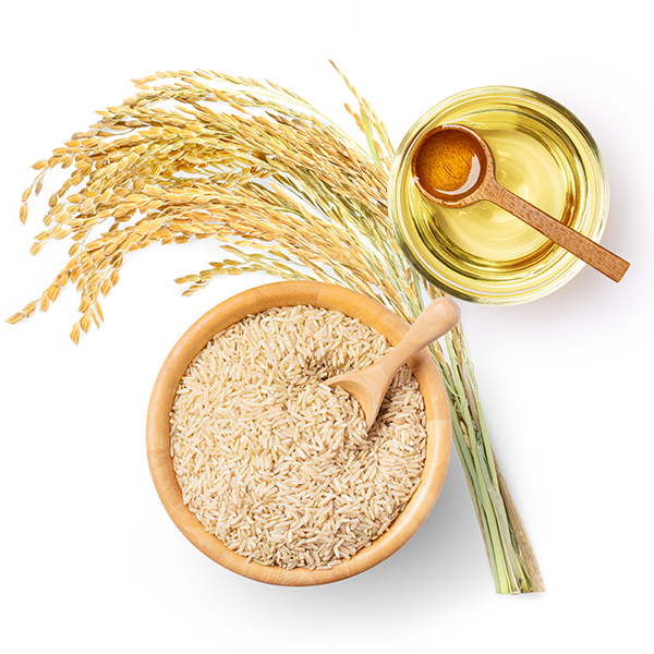 シャンプーの特徴の保湿についての写真。